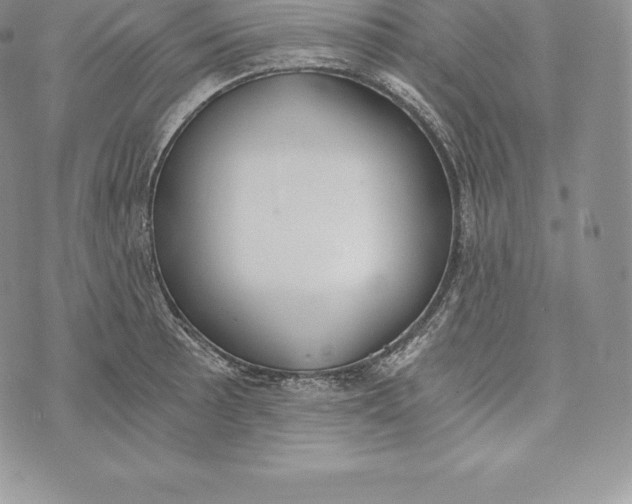 X0000072931089200608111529