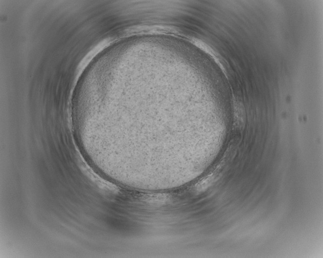 X0000072931090200608111529