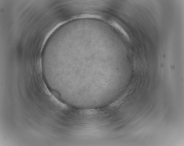 X0000072931092200608111529