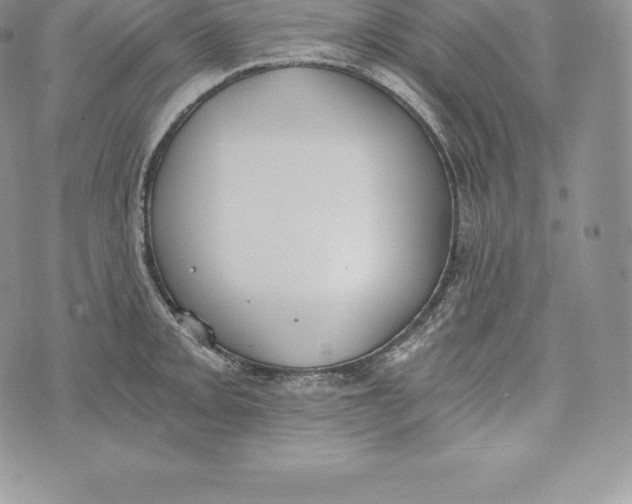 X0000072931093200608111529