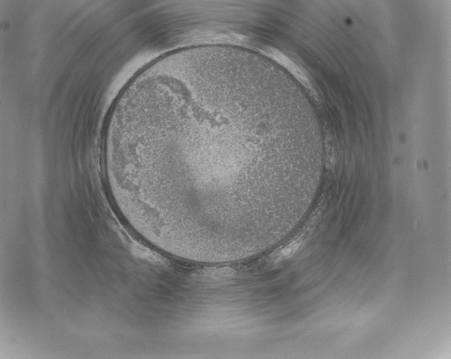 X0000072931094200608111529