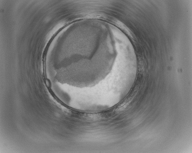 X0000072931095200608111529