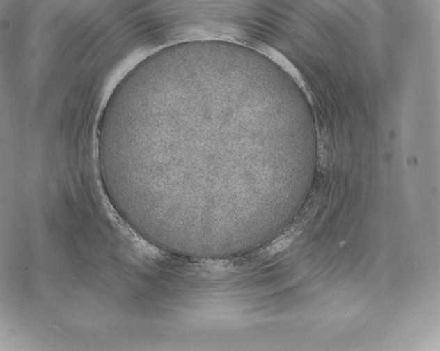 X0000072931096200608111529