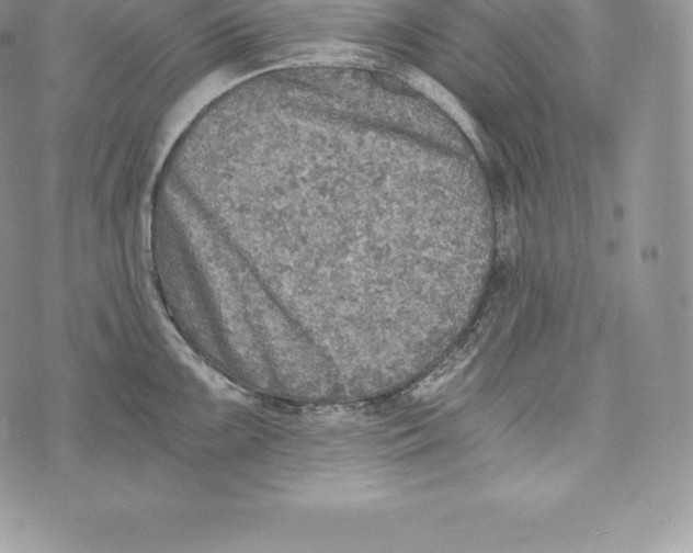 X0000072931099200608111529