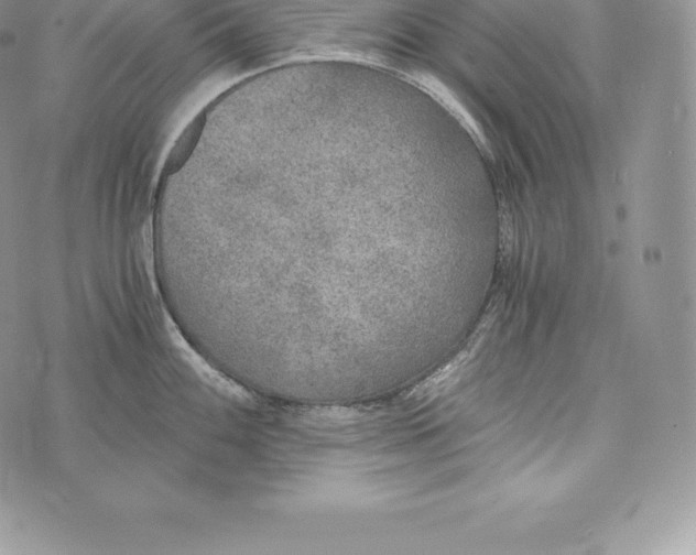 X0000072931100200608111529