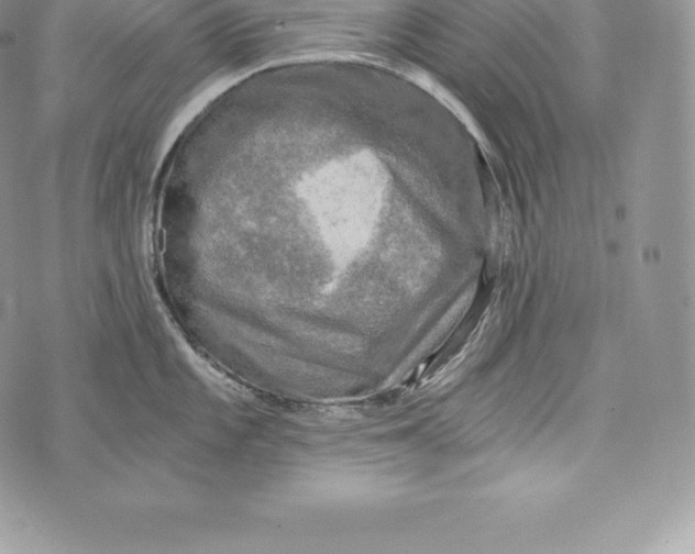 X0000072931101200608111529