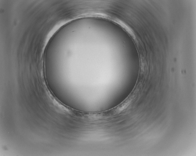 X0000072931102200608111529