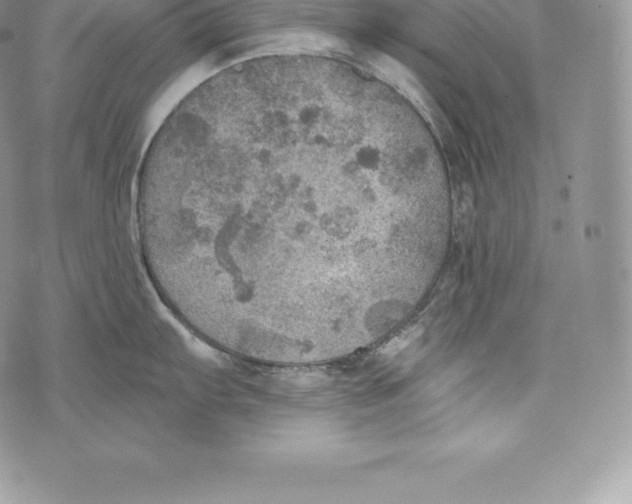 X0000072931103200608111529