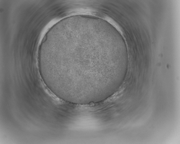 X0000072931104200608111529