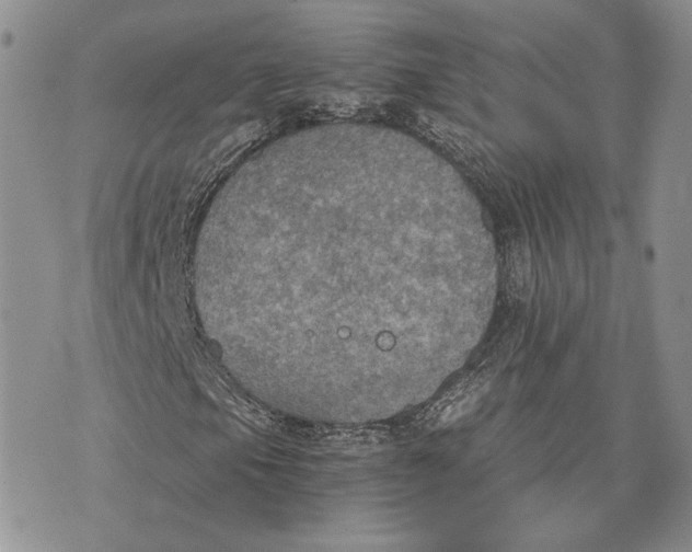 X0000072931105200608111528