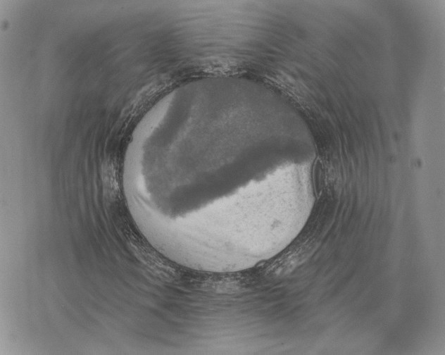 X0000072931106200608111528