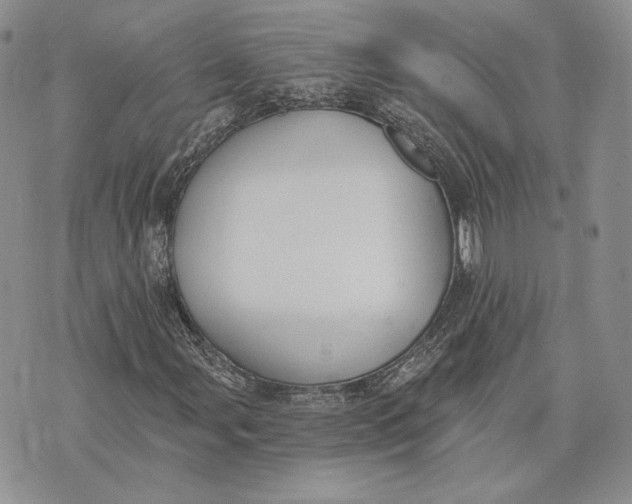 X0000072931107200608111528