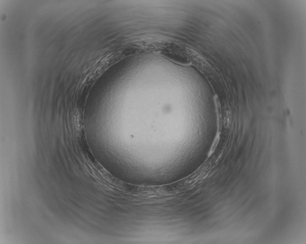 X0000072931108200608111528