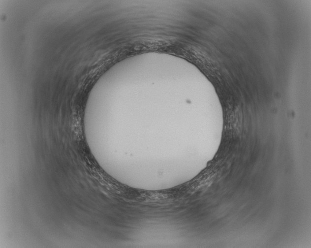 X0000072931109200608111528