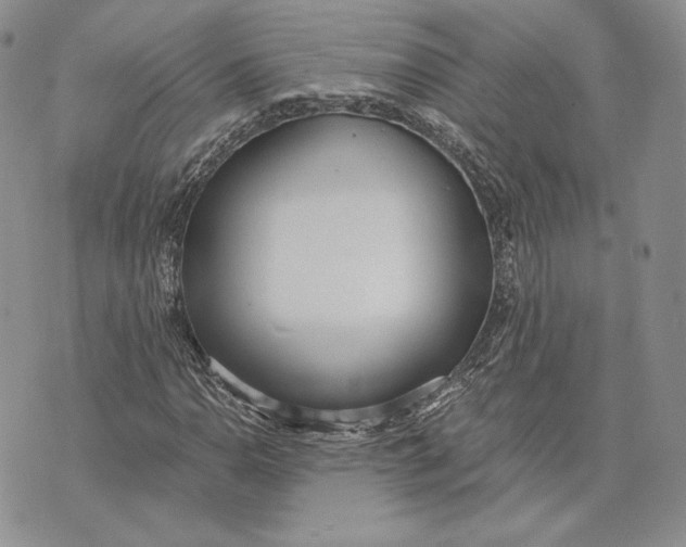 X0000072931110200608111528