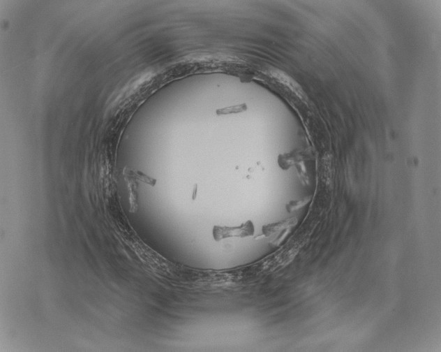 X0000072931111200608111528