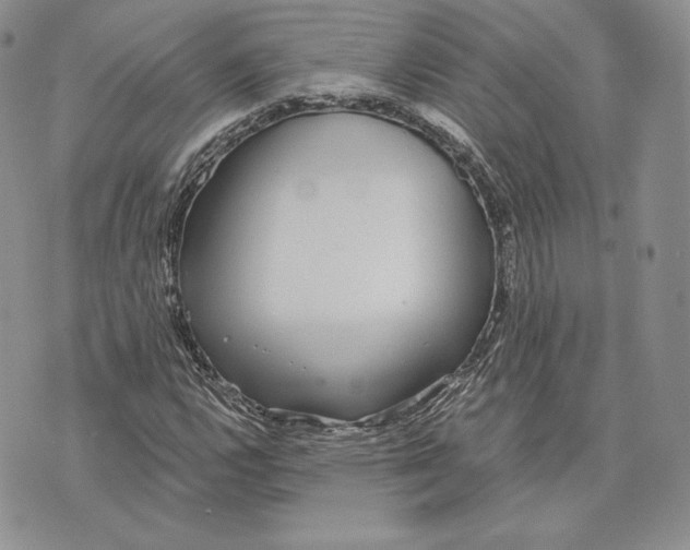 X0000072931112200608111528