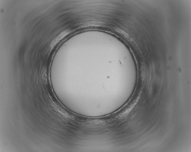 X0000072931113200608111528