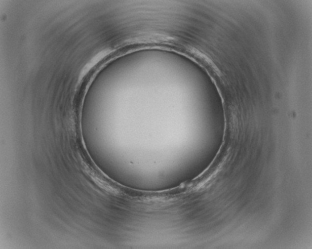 X0000072931114200608111528