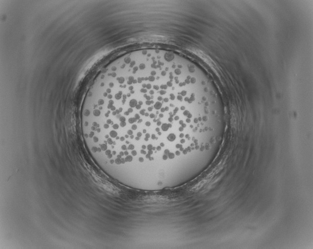 X0000072931115200608111528