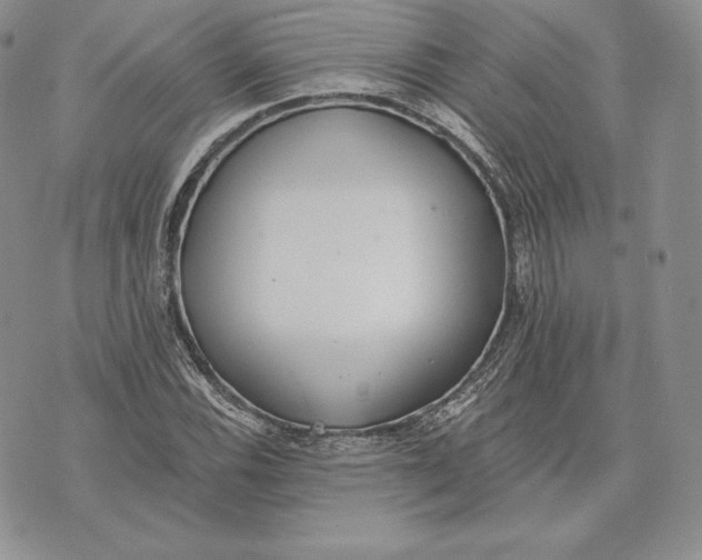 X0000072931116200608111528