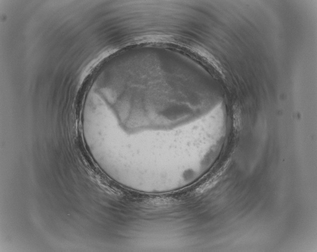 X0000072931117200608111528