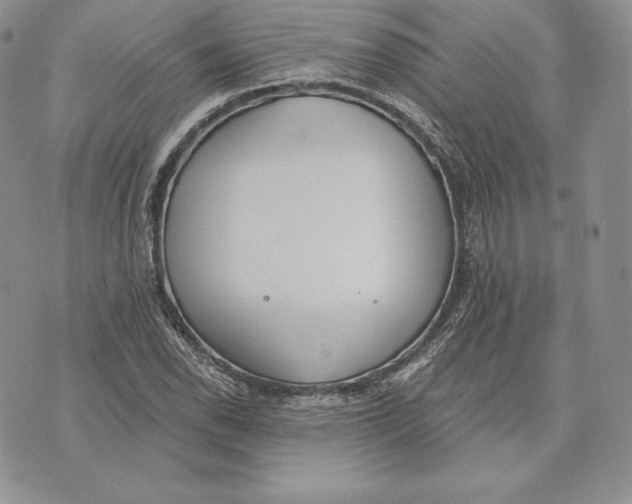 X0000072931118200608111528