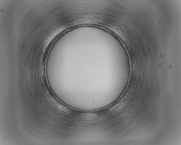 X0000072931119200608111528