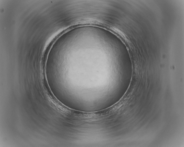 X0000072931120200608111528