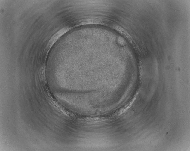 X0000072931121200608111528