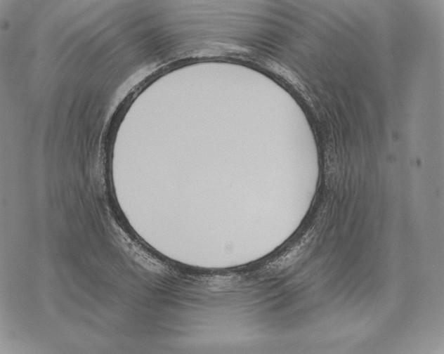 X0000072931122200608111528