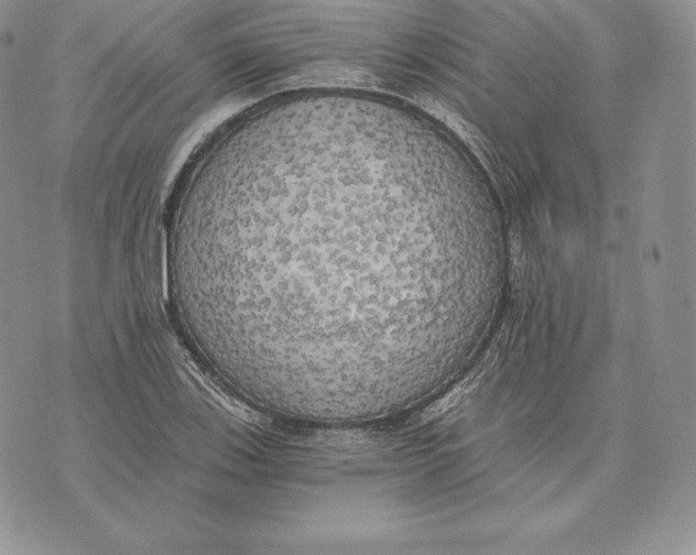 X0000072931123200608111528