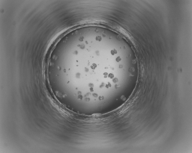 X0000072931124200608111528