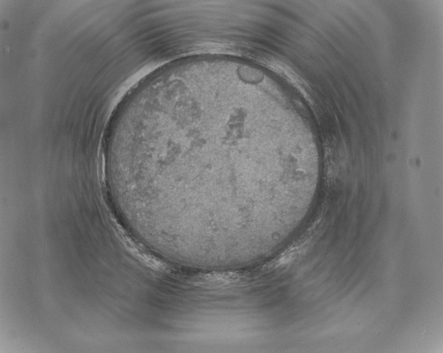 X0000072931125200608111528