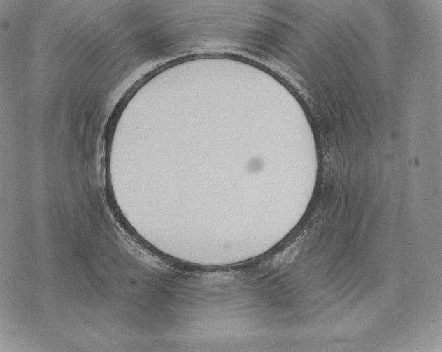 X0000072931126200608111528