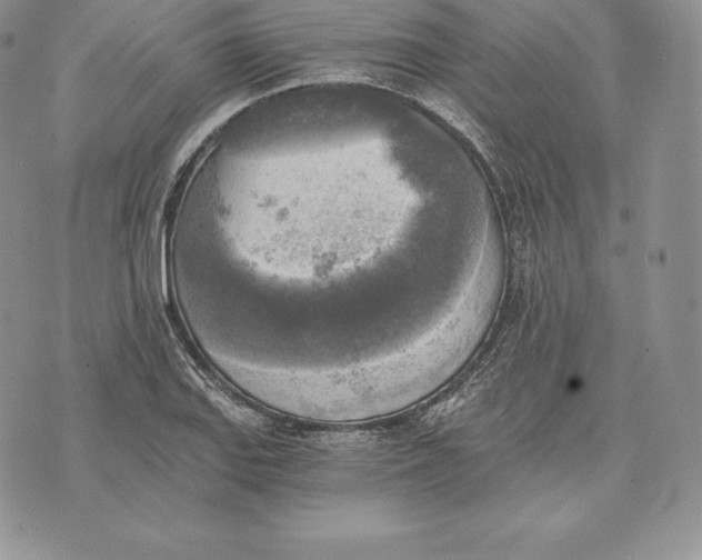 X0000072931127200608111528