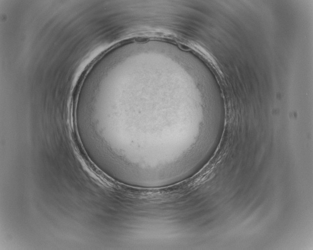 X0000072931128200608111528