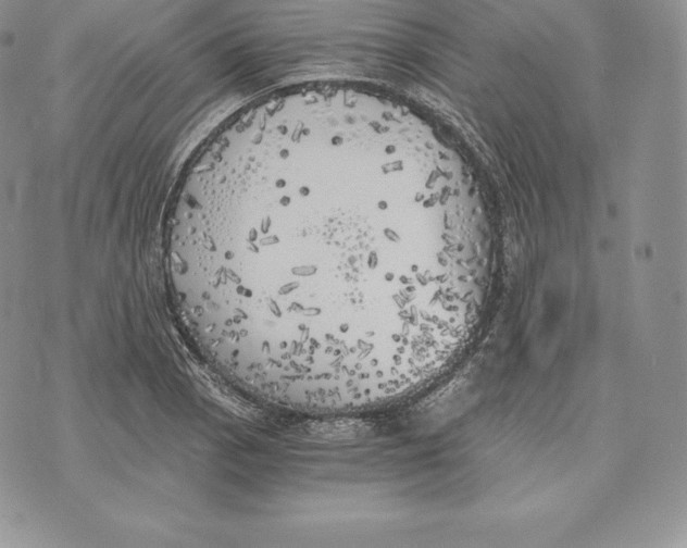 X0000072931129200608111528