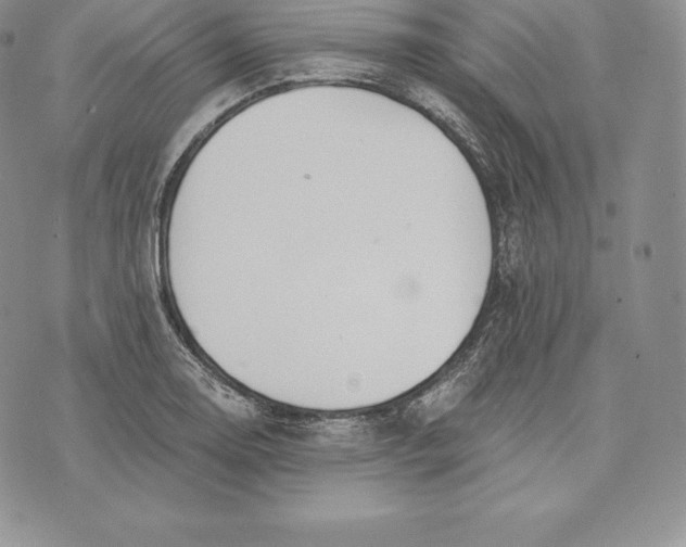 X0000072931130200608111528