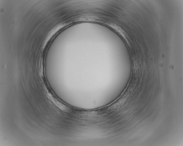 X0000072931131200608111529