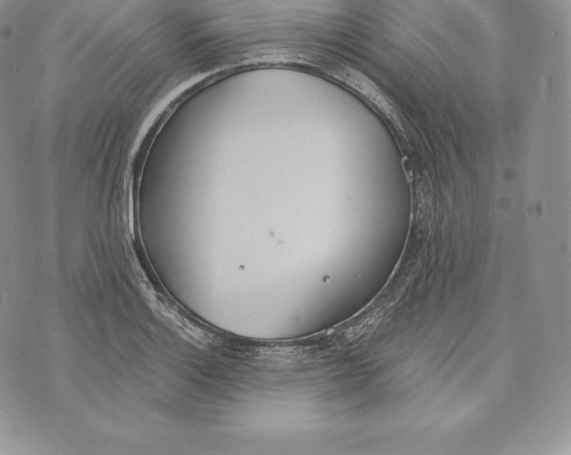 X0000072931132200608111529