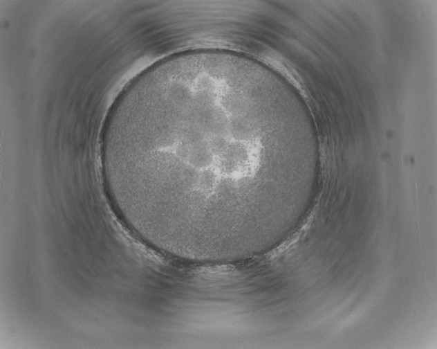 X0000072931133200608111529