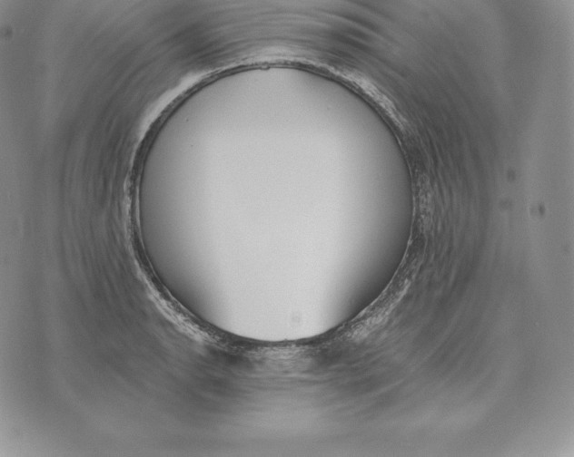 X0000072931134200608111529