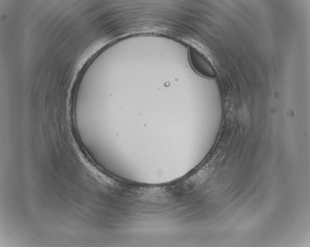 X0000072931135200608111529