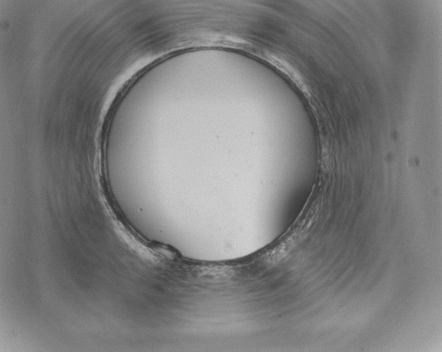 X0000072931136200608111529