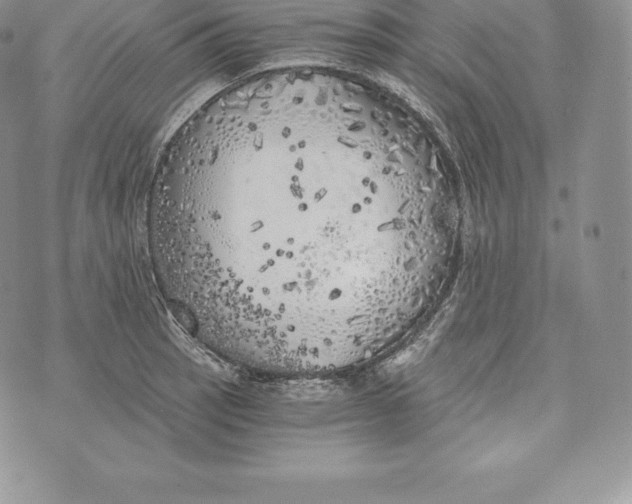 X0000072931137200608111529