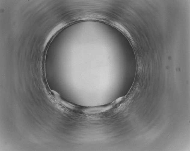 X0000072931138200608111529