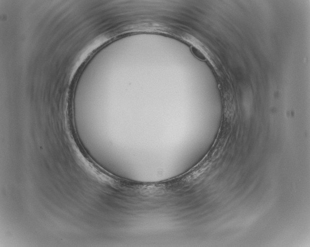 X0000072931139200608111529