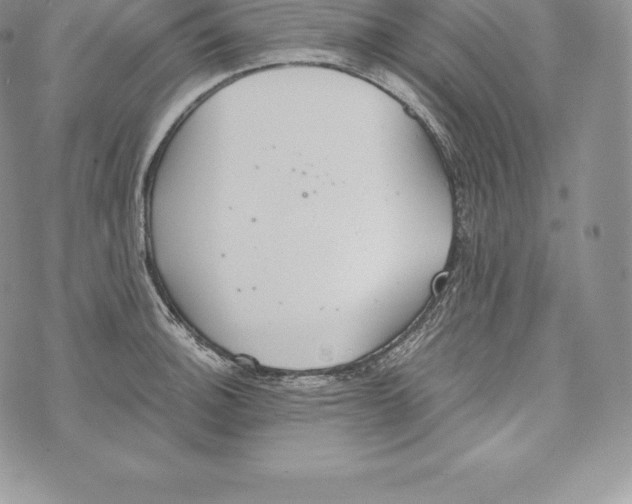 X0000072931140200608111529