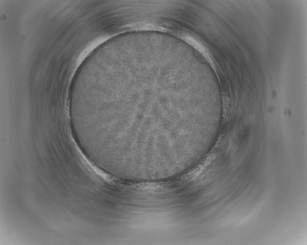 X0000072931141200608111529